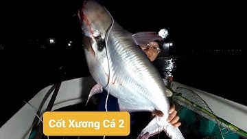 Câu cá dồ đém #39. Cốt xương cá lại đụng hàng