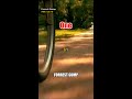 "What Really Happened in Forrest Gump's Deleted Scen #Shorts
