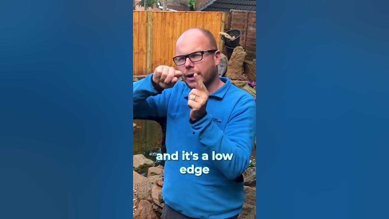Pond Water Level Dropping YouTube