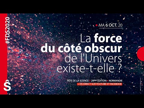 La force du côté obscur de l'Univers existe-t-elle ?