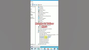 Morpho L1 Not working I Morpho L1 Device problem I Morpho L1 Yallow mark
