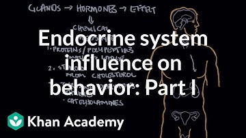 Endocrine system and influence on behavior - Part 1 | Behavior | MCAT | Khan Academy