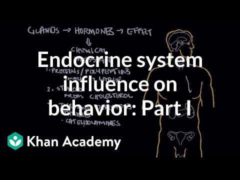 Видео: Разлики между ендокринните и екзокринните жлези