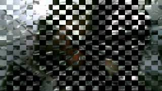 movie003.mp4