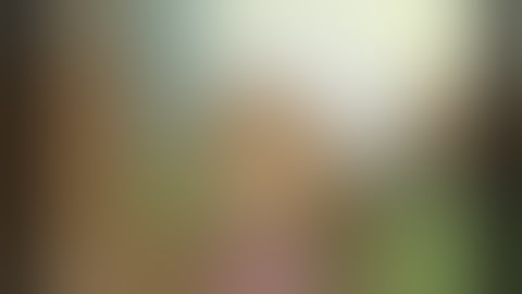 TweetAttacks Bonus - 101 Twitter Tips Video for MLM Marketing