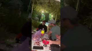 Кошка Дорянин Жойдари Боллари