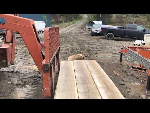 वीडियो: क्या कॉटनवुड अच्छी लकड़ी बनाता है?