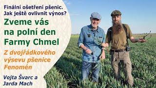Jak ještě ovlivnit výnos pšenice? Co uvidíte na polním dnu Farmy Chmel? | Vojta Švarc a Jarda Mach