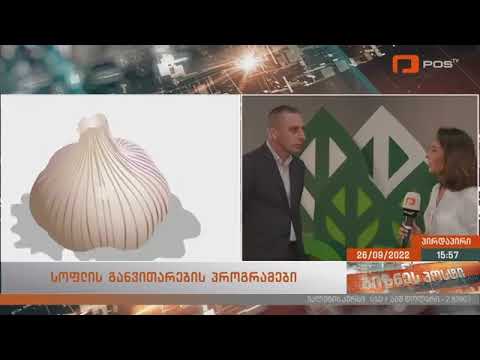 სოფლის განვითარების სააგენტოს პორგრამები