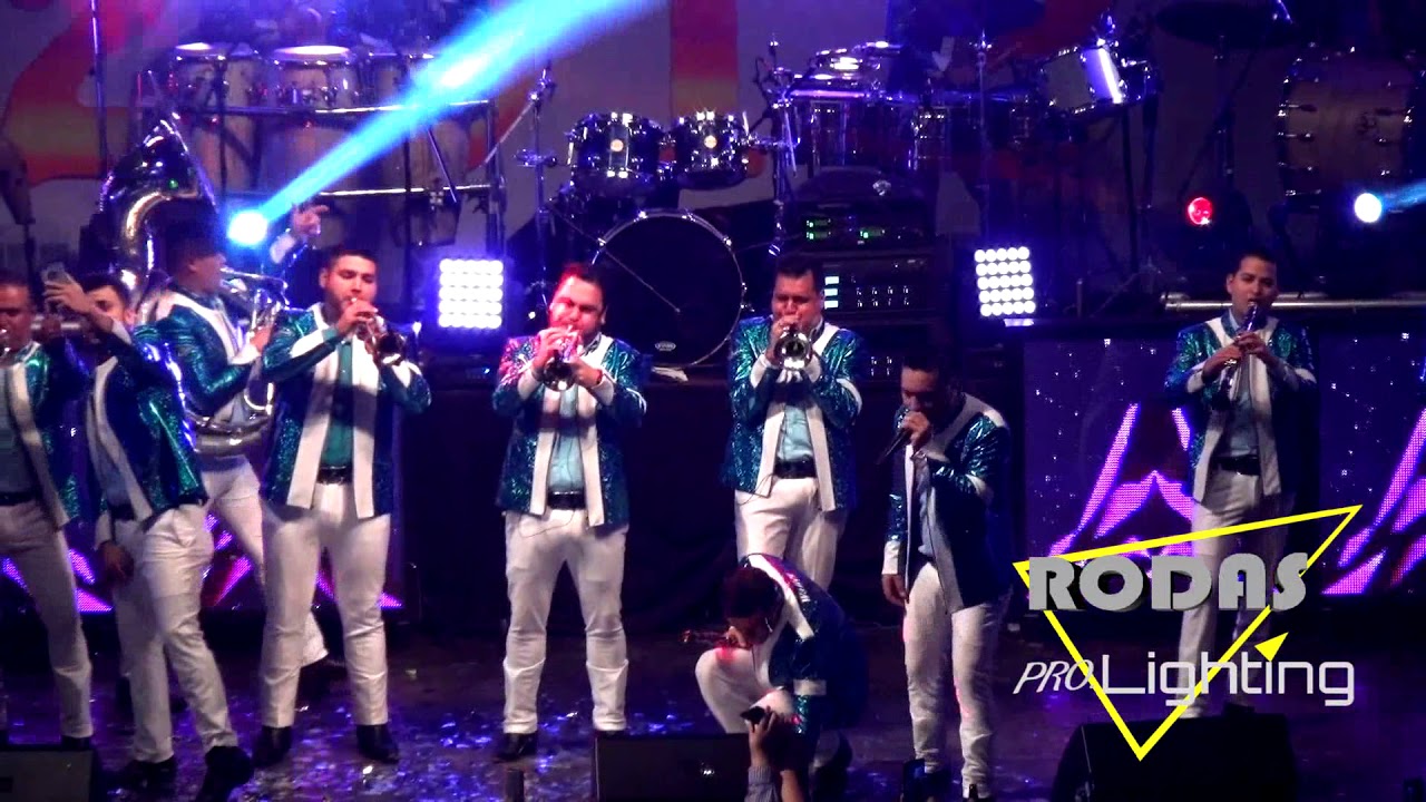 la septima banda en las pulgas 2018