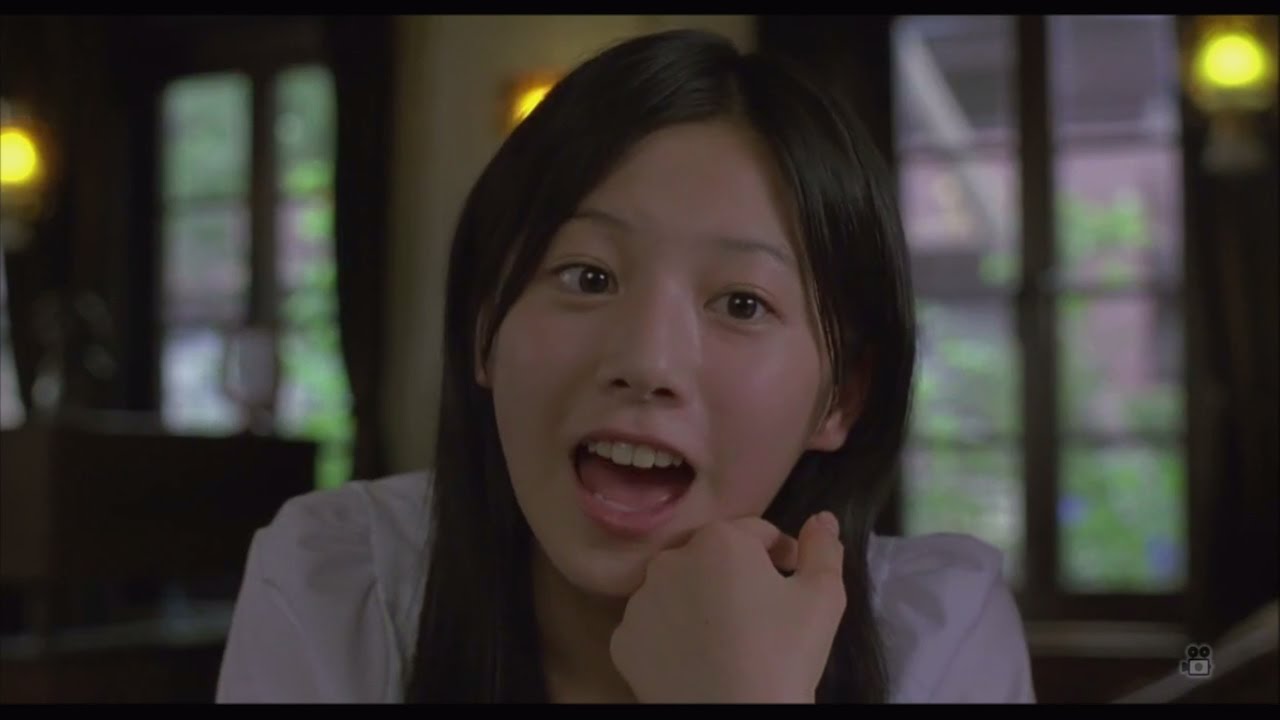 うた魂様専用 sE ELECTRONICS SE8 マッチドペア