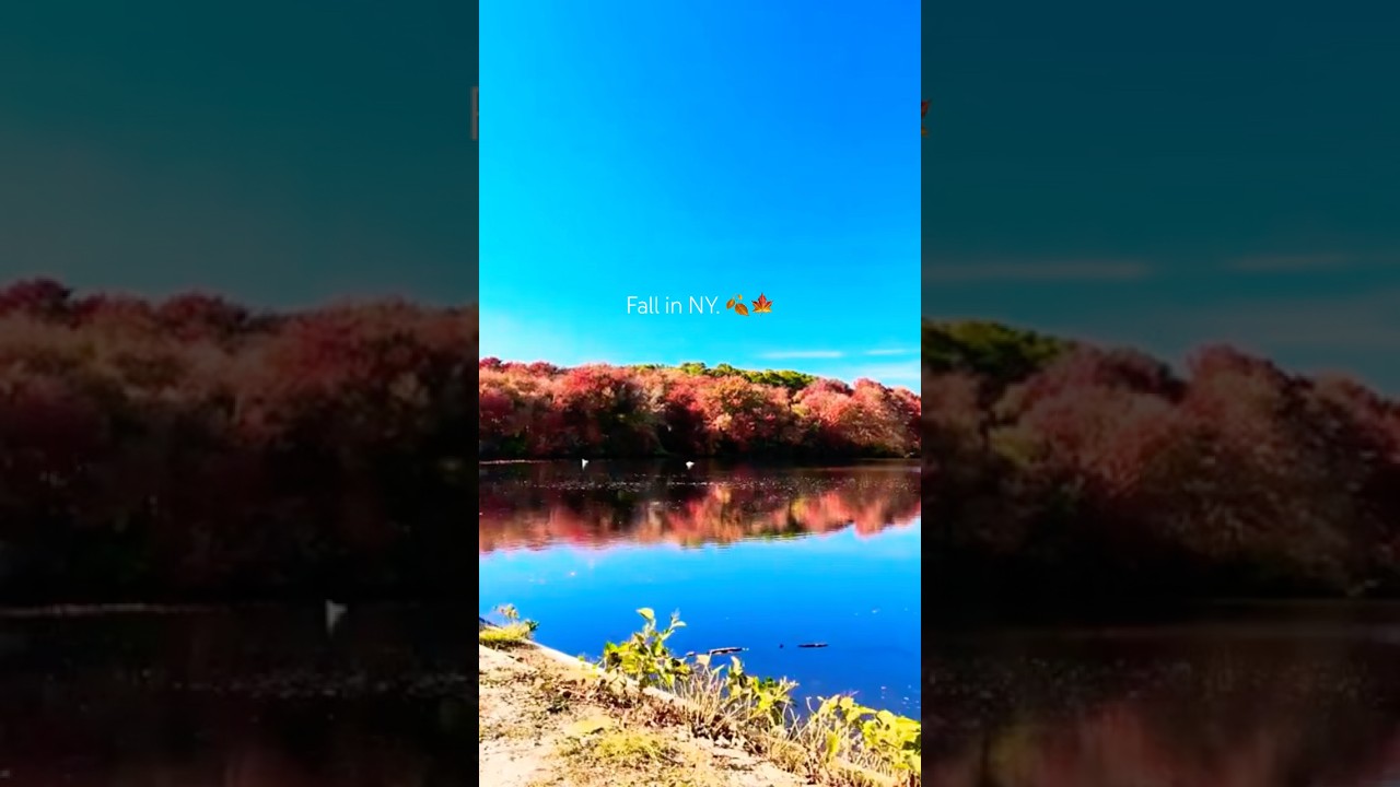 a cozy autumn in nyc. 