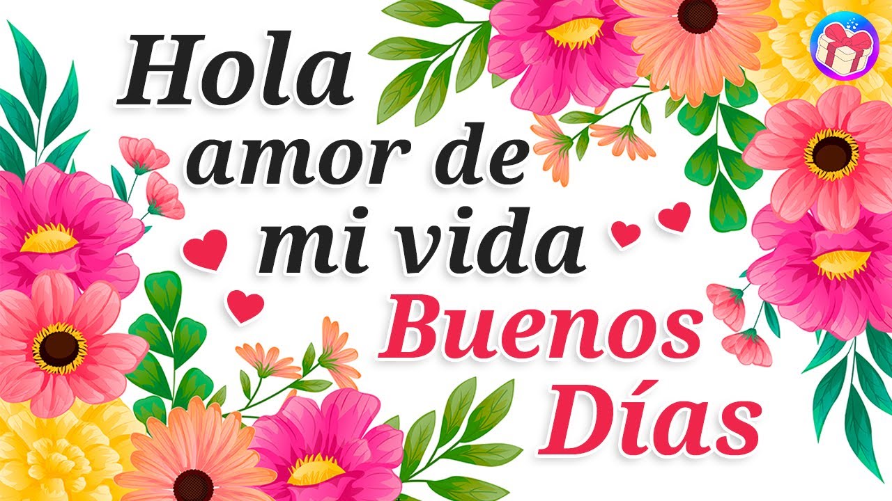 💌 ¡Hola amorcito de mi vida ¡Te amo! 💝 Buenos dias, que tengas un