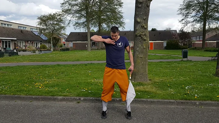 Shaolin Mei Hua Dan Dao