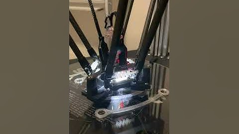 Close Up 3dPrinting  with a Delta 3d Printer!