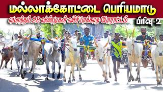 மல்லாக்கோட்டை பெரியமாடு பந்தயம் 06.07.2026