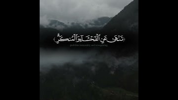 "إِنَّ ٱلصَّلَوٰةَ تَنۡهَىٰ عَنِ ٱلۡفَحۡشَآءِ وَٱلۡمُنكَرِۗ " تلاوة للشيخ ناصر القطامي