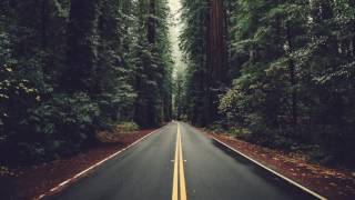 Mooryc - You will go
Support the artist:
https://soundcloud.com/mooryc
https://www.facebook.com/mooryc/
https://mooryc.bandcamp.com/releases
Lyrics:
You will go far away
Anywhere anyway is better then this place
You will find no one there
No one who would want to
Look in your eyes
A sled dog teem
Will take you there will make you swear
Youd never go back again
Through whiteout and drought land
You will fly
On phoenix wings forget your sins
Forget the neckless made of string
The ship has sailed
Your mother calls your name
Weeping for her child to come back home
You dont know
What to say
Youve never been good with words
Shes gone
The flowers left
I do not own any rights f the song! Mooryc - You will go