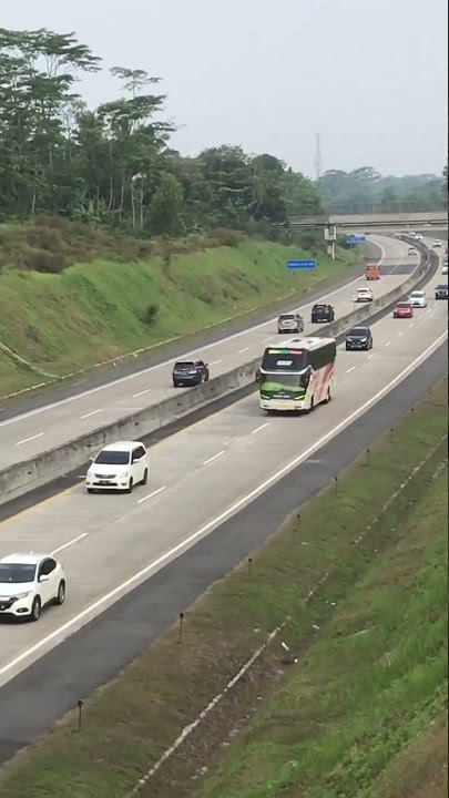 Bus murni jaya 235 edisi minggu 31 juli tol km 475 #viral #shorts