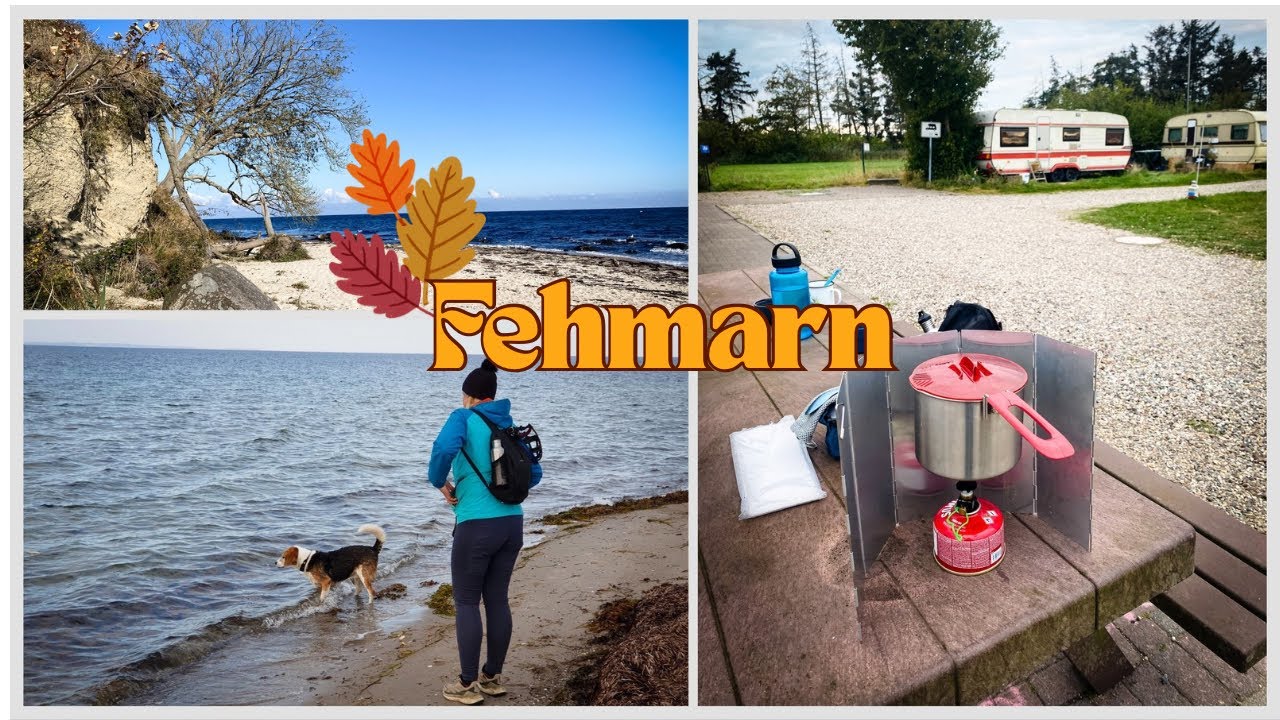 Camping Fehmarn Mit Hund