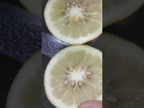 Slicing Lemon Shorts