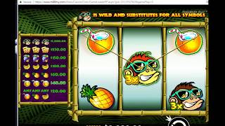 M88 Monkey Madness Slot Machine Tips screenshot 3