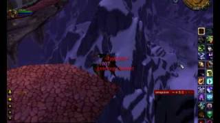 Druid typhoon is op