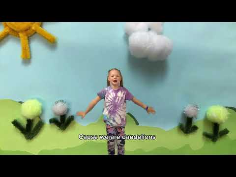 Dandelions Music Video