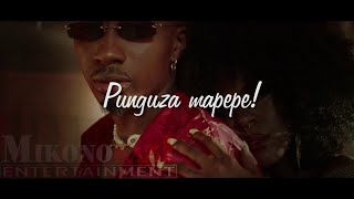 Jux - Mapepe Official Lyrics Video