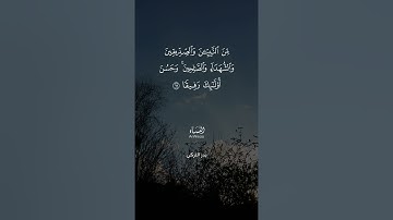 ماتيسر من سورة النساء - AnNisaa - القارئ الشيخ بدر التركي 🌿 🌹.