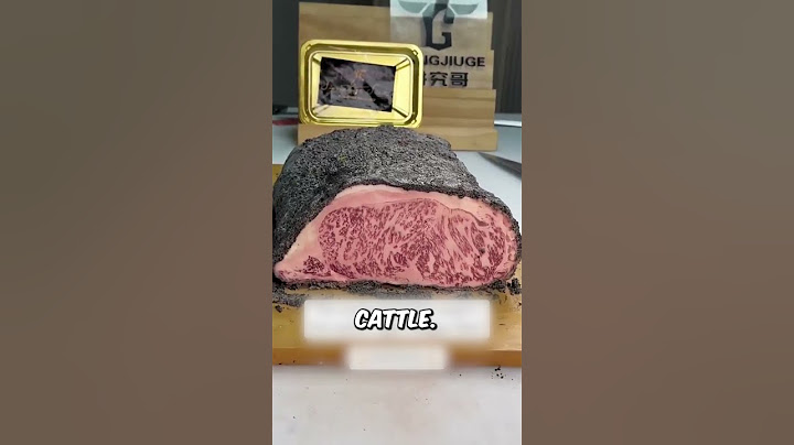 The MOST EXPENSIVE Wagyu In The WORLD!