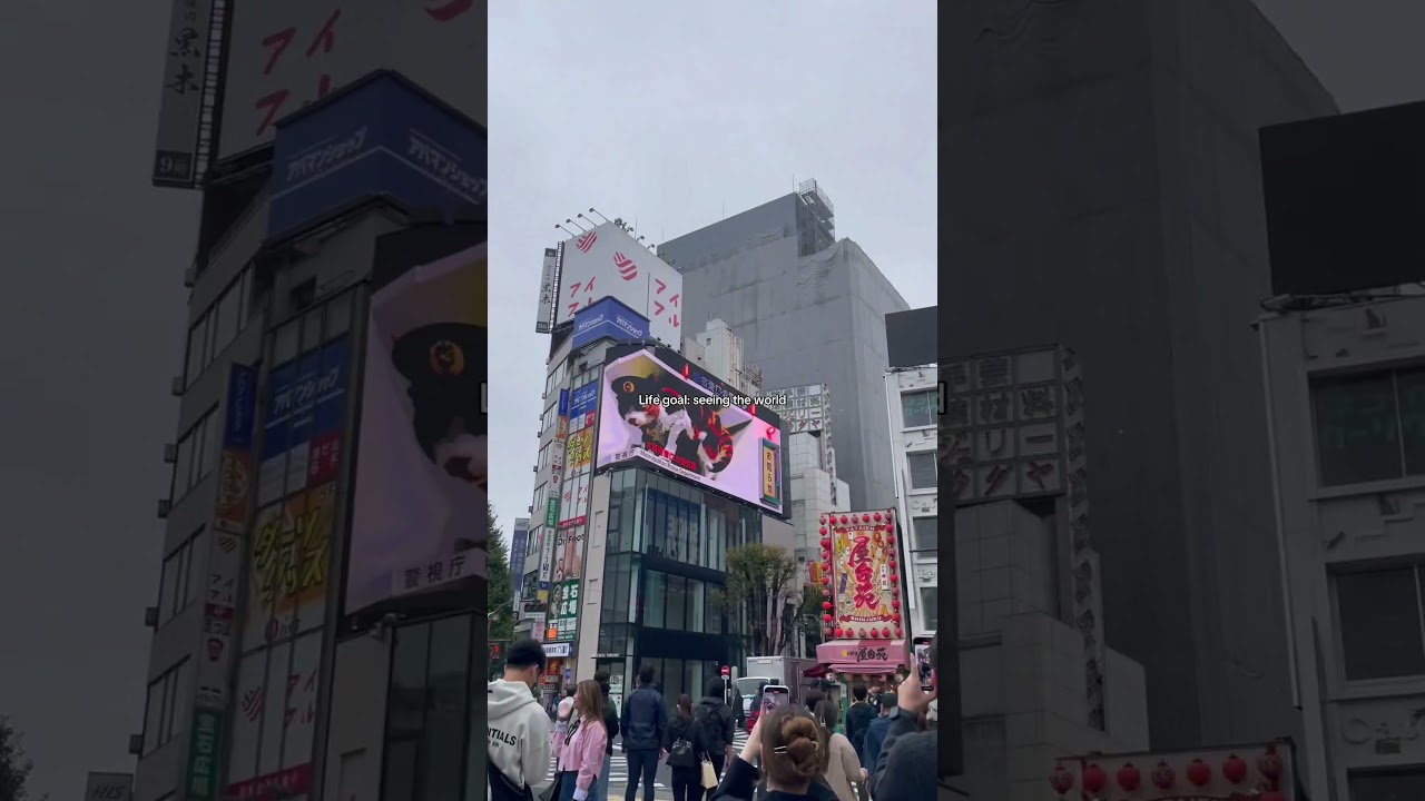 Biggest life goal 🥺 