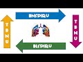 Kvar Kvadrata Meditado