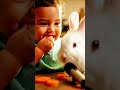 Baby & Bunny’s Perfect Crunch 🥕😂 The Cutest ASMR Ever! #ASMRShorts  #CutePets #Wholesome