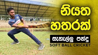 How to Score Runs in Tennis Ball Cricket | Fielding JayA screenshot 5