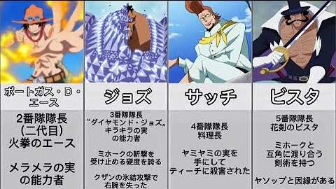 白ヒゲ海賊団 その後