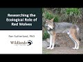 Researching the Ecological Role of Red Wolves