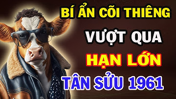 “Bí Ẩn Cõi Thiêng: TÂN SỬU 1961 – Vượt Qua Hạn Lớn, Khai Sáng Vận Mệnh