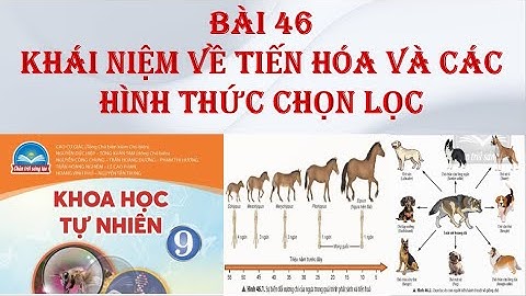 Khoa học tự nhiên 9 - CTST - BÀI 46. KHÁI NIỆM VỀ TIẾN HÓA VÀ CÁC HÌNH THỨC CHỌN LỌC.