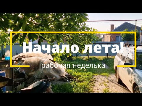 Начало лета // Рабочая неделька