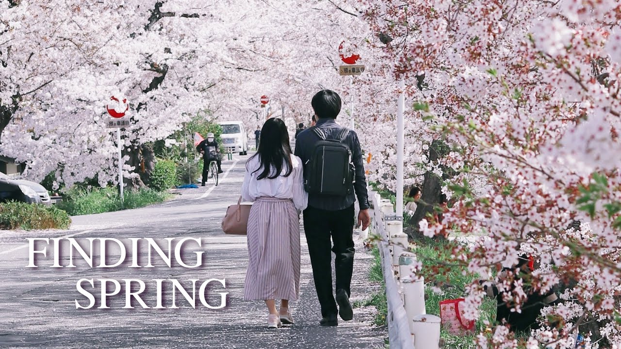 FINDING SPRING 🌸 - Beautiful Piano Song, Spring Themed BGM ...