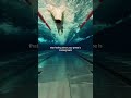 that feeling when your prime is coming back #swimmer #swimming #swim #motivation #mindset