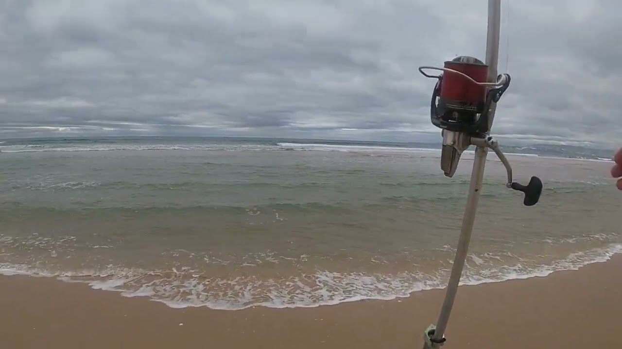 SURFCASTING | Jornada de pesca 2025