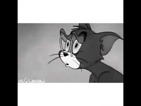 مانام حالف لا منام