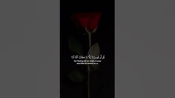 قرآن كريم #اسلام_صبحي #تلاوة_خاشعة #قرآن #القرآن_الكريم #راحة_نفسية #اكتب_شي_تؤجر_عليه