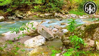 Relaxing Sound of a Mountain River. RELIEVES FATIGUE, NORMALIZES SLEEP!