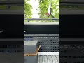 Point of view #cybertruck tonneau cover closing on you #cybertruckfeatures