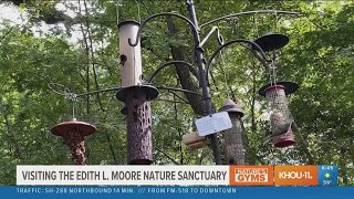 A visit to Edith L. Moore Nature Sanctuary