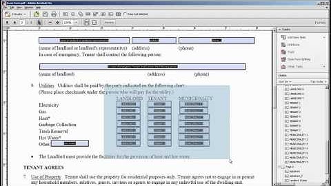 Adobe Acrobat X: PDF Forms