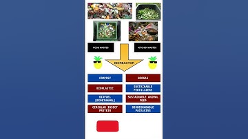 Food Waste Management using Bioprocess Engineering #sustainability #bioprocess #biotechnology